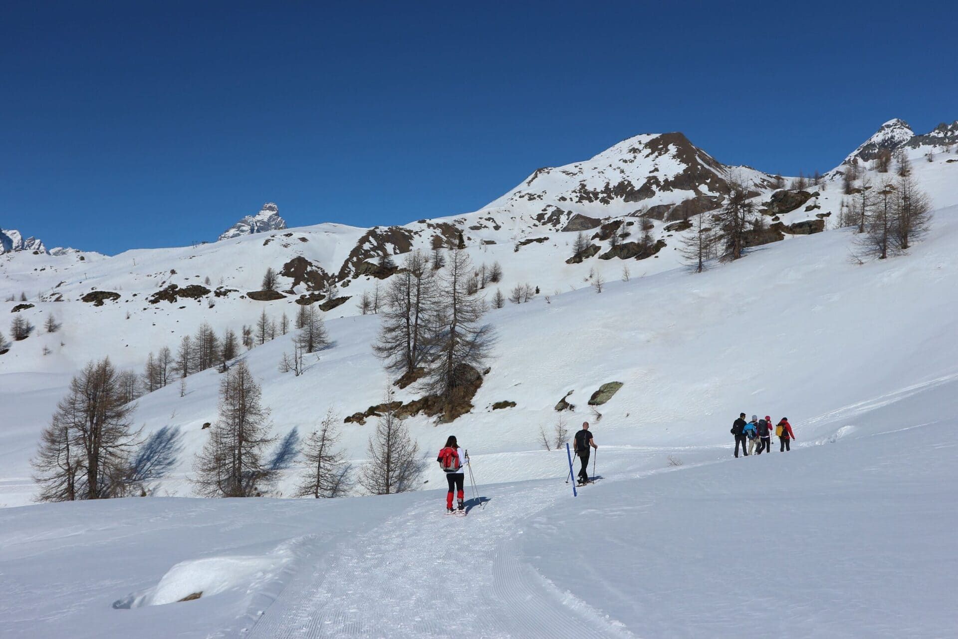 Pascoli e cime sopra Chamois.