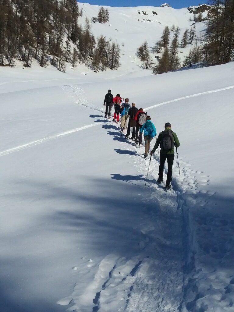 Tracce di ciaspole su un pendio innevato.