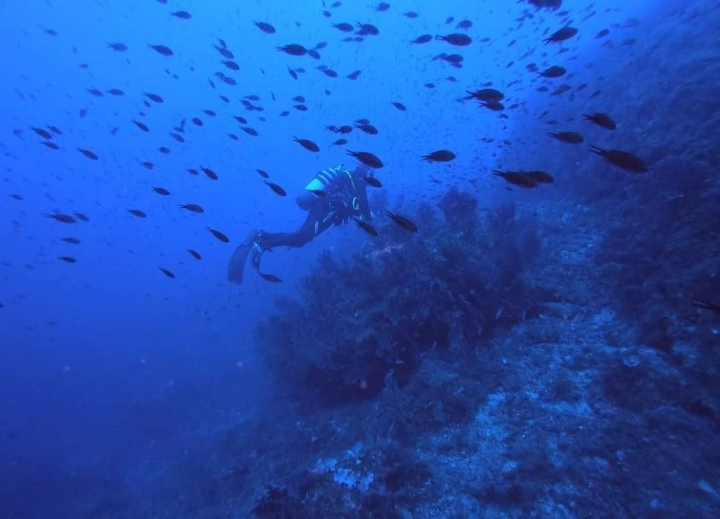Fondale mediterraneo in luce blu.
