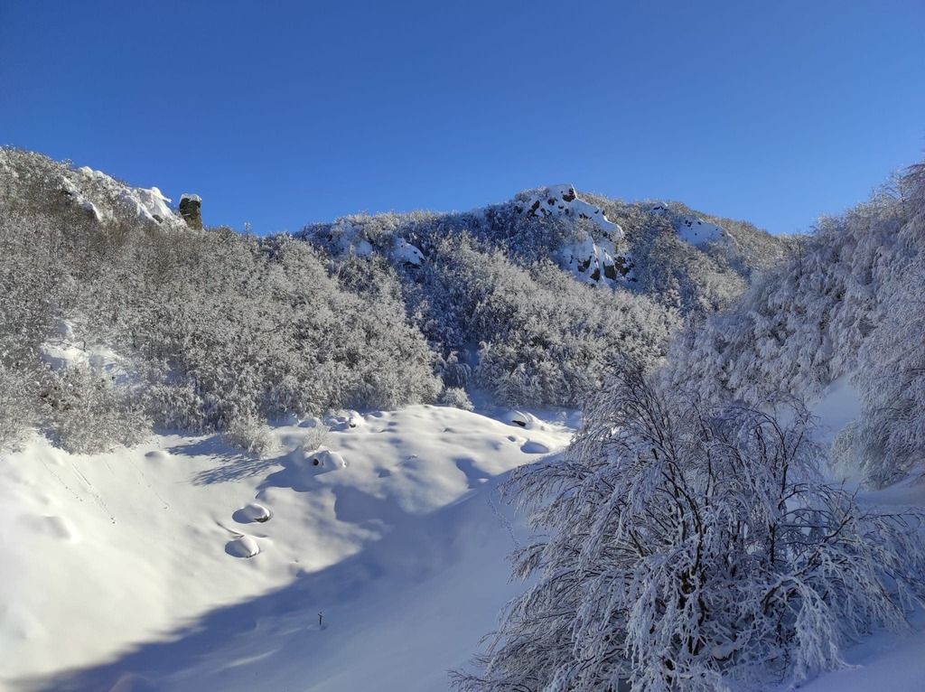 Crinale del Parco dell’Aveto.